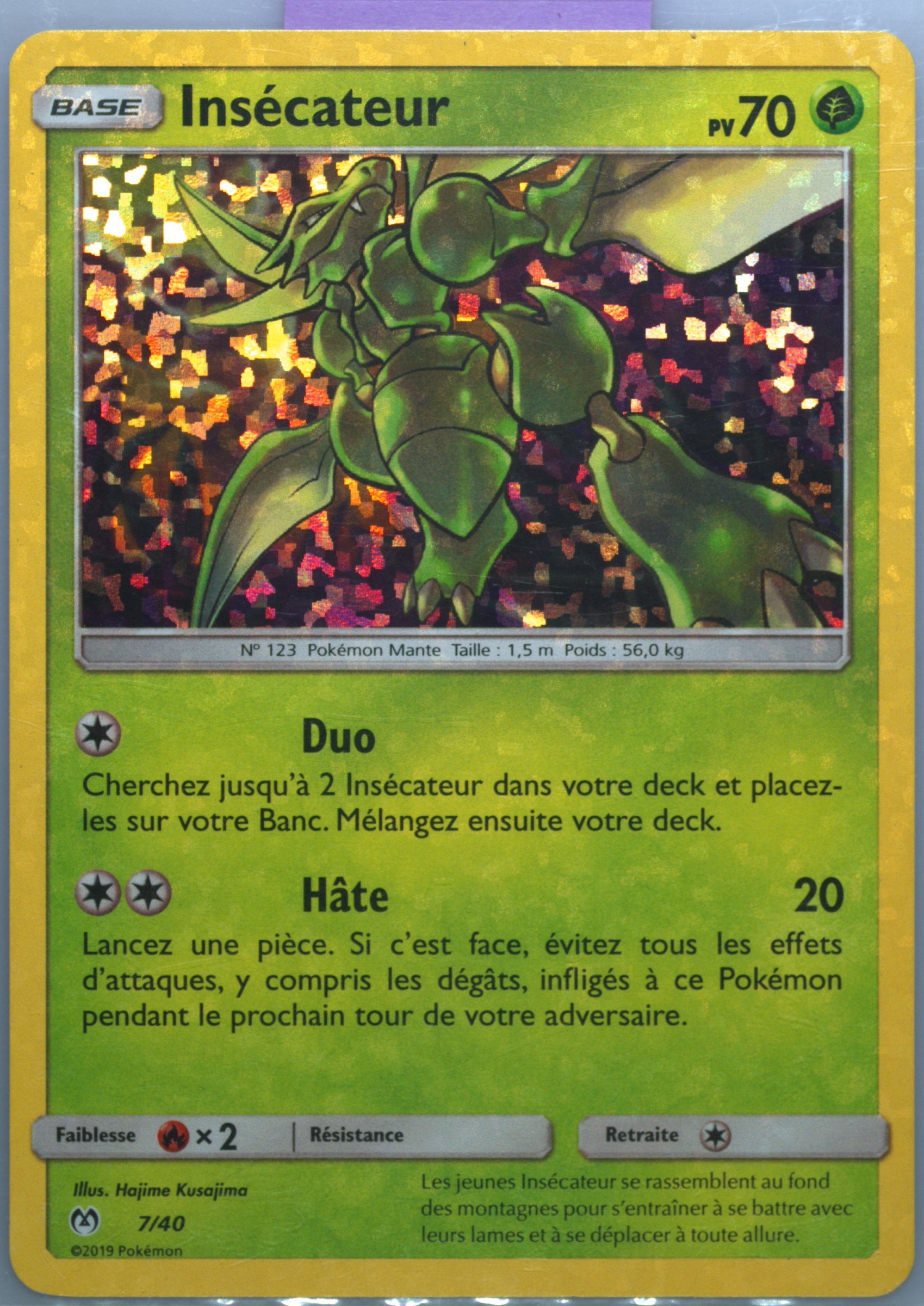 Insecateur-Holo