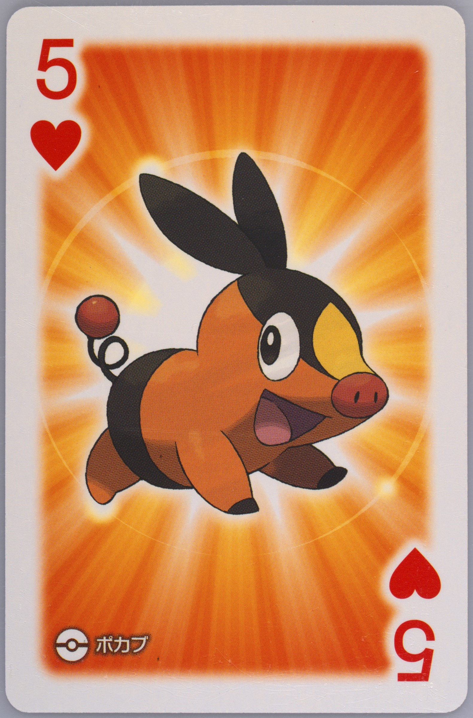 Tepig