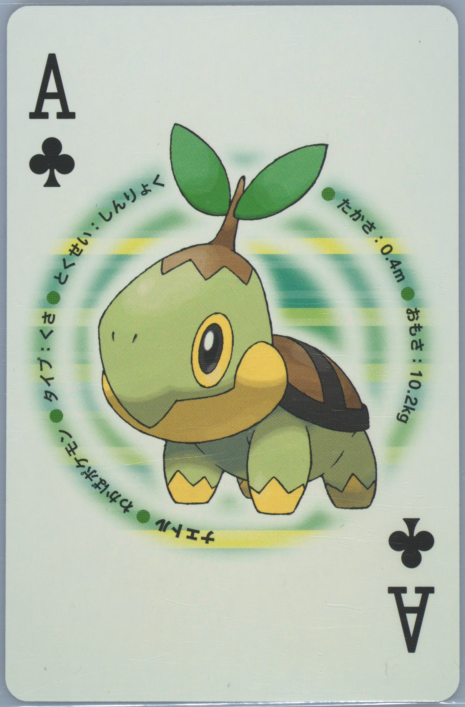 Turtwig