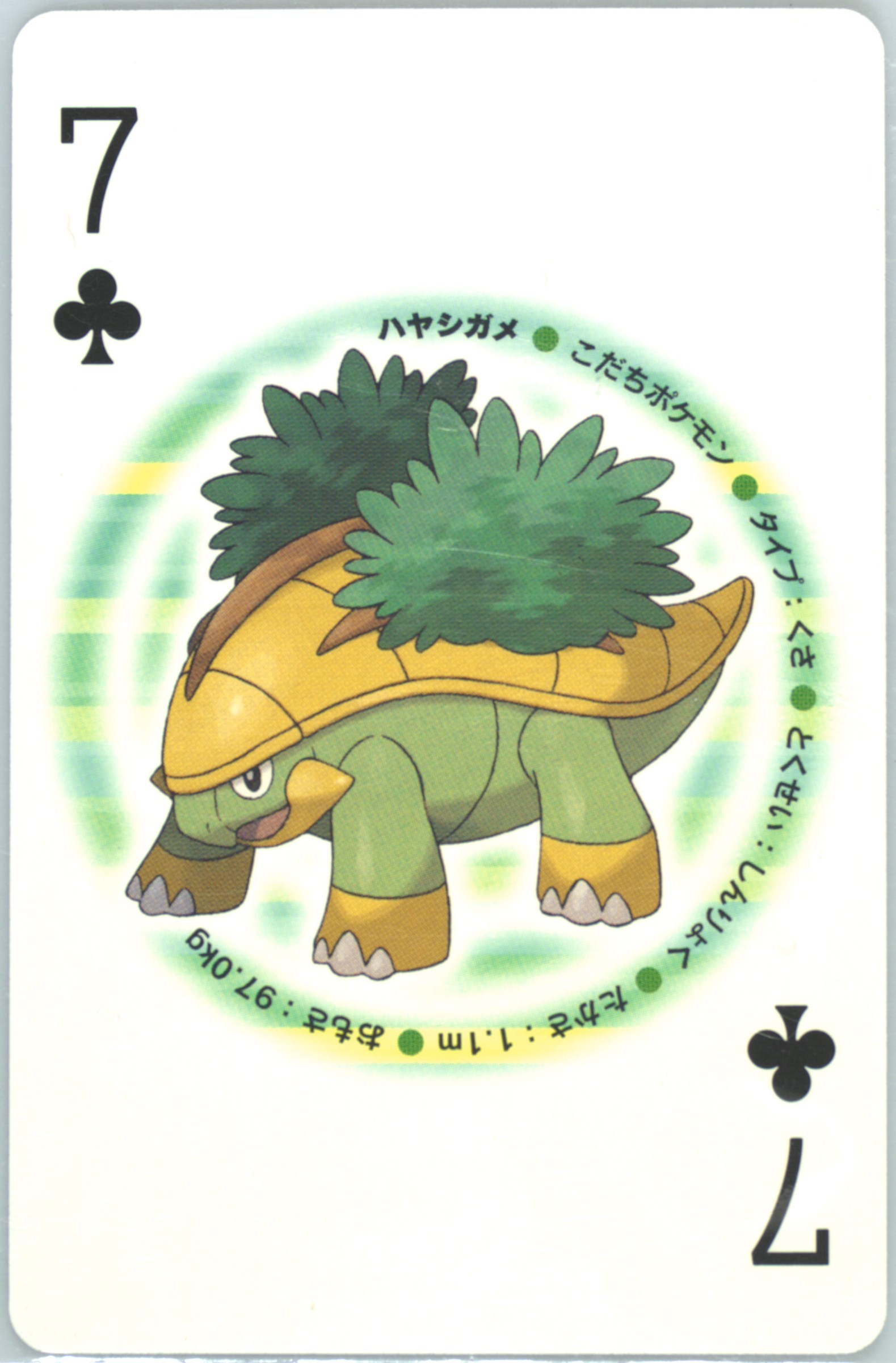 Grotle
