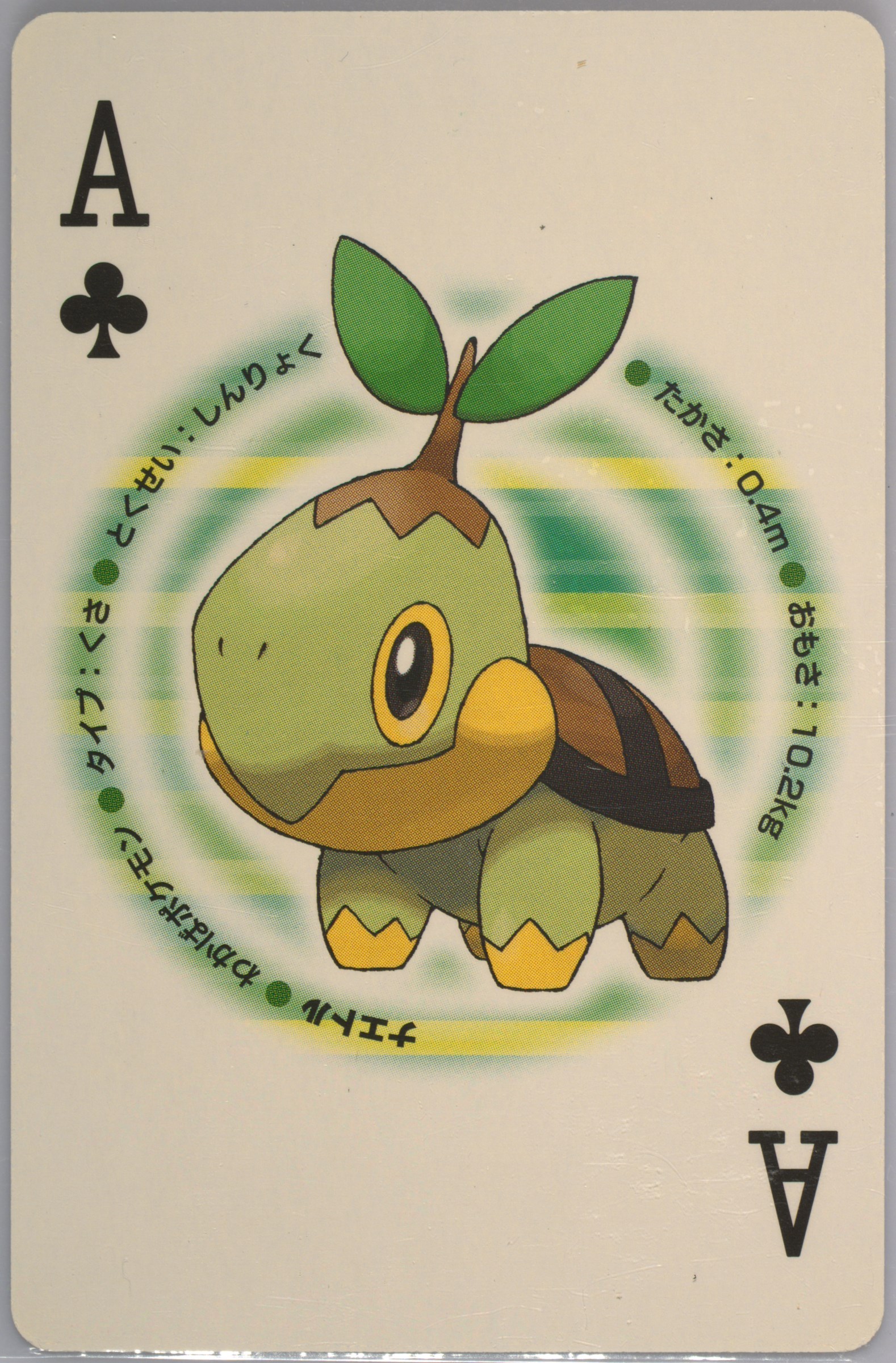 Turtwig