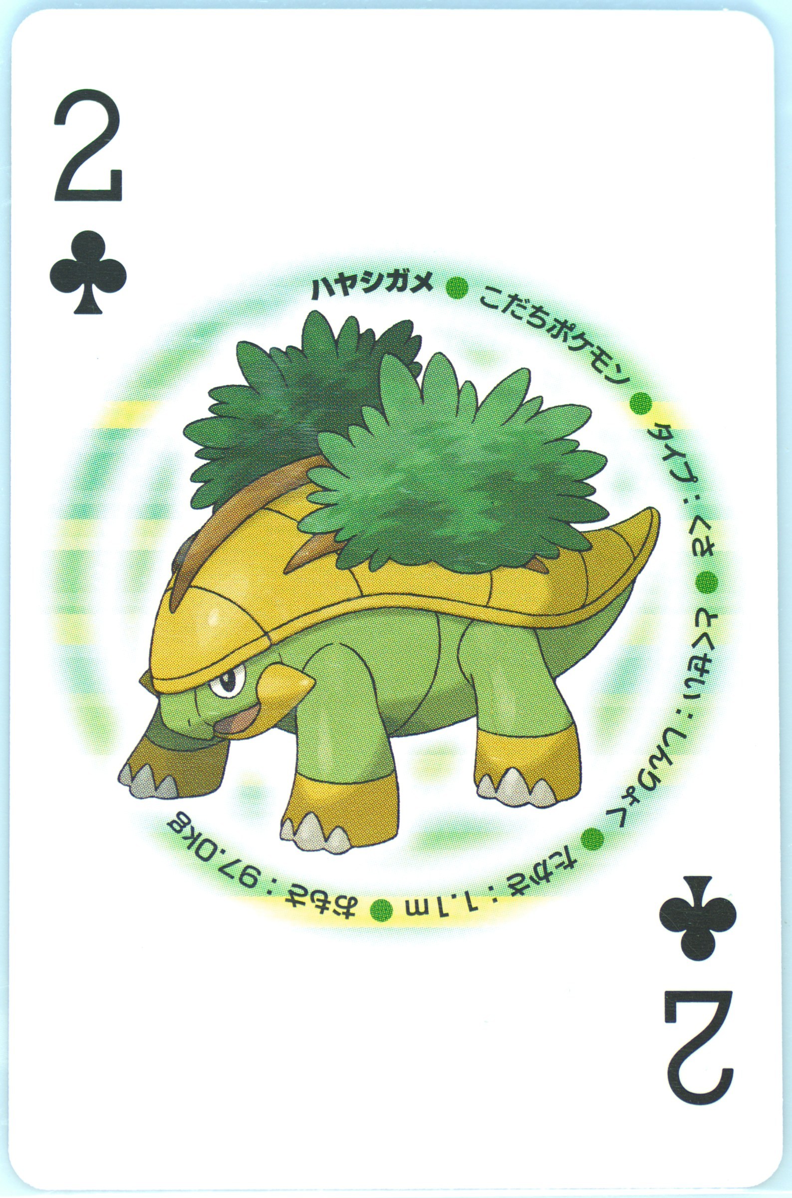 Grotle