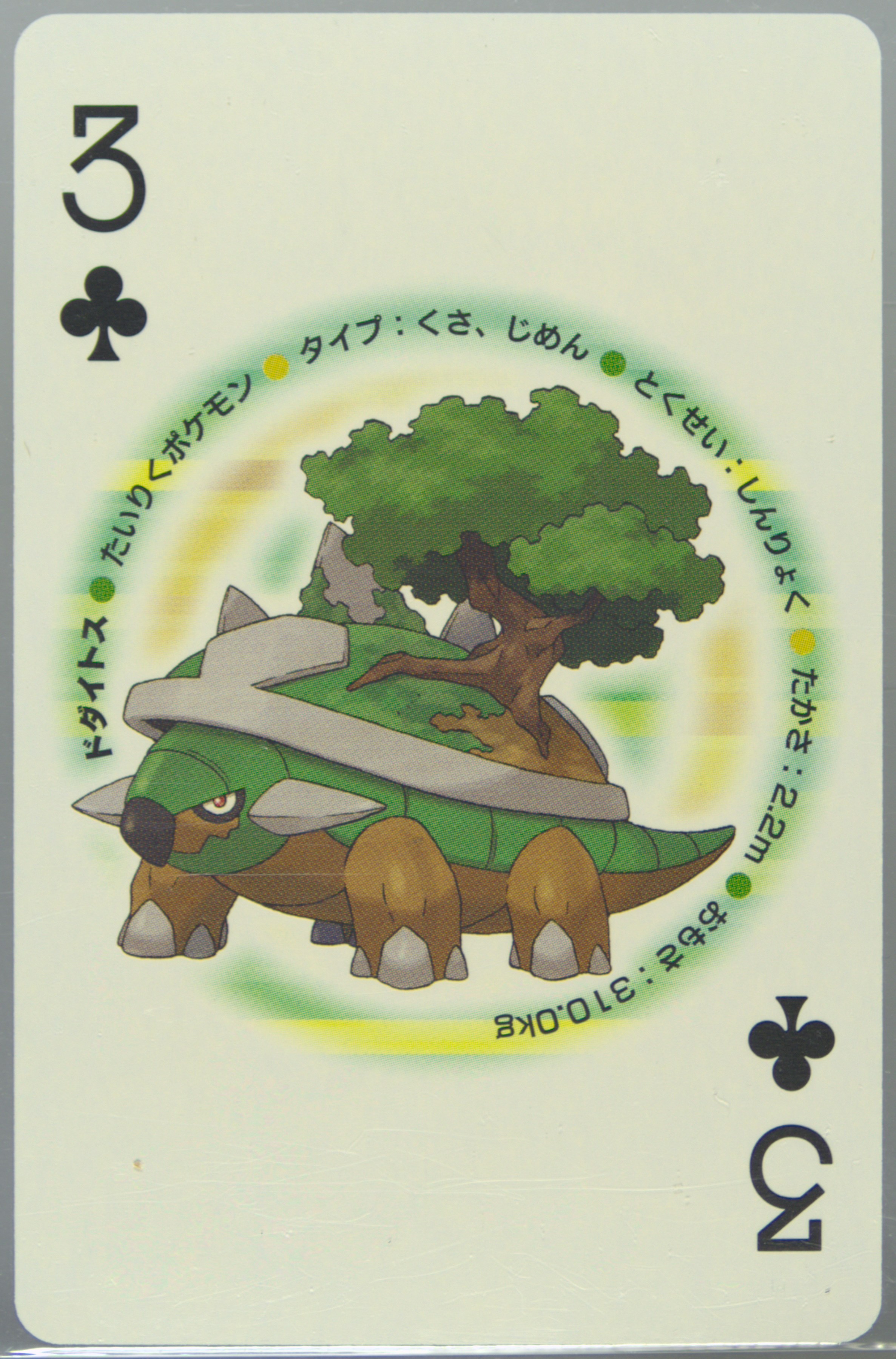 Torterra