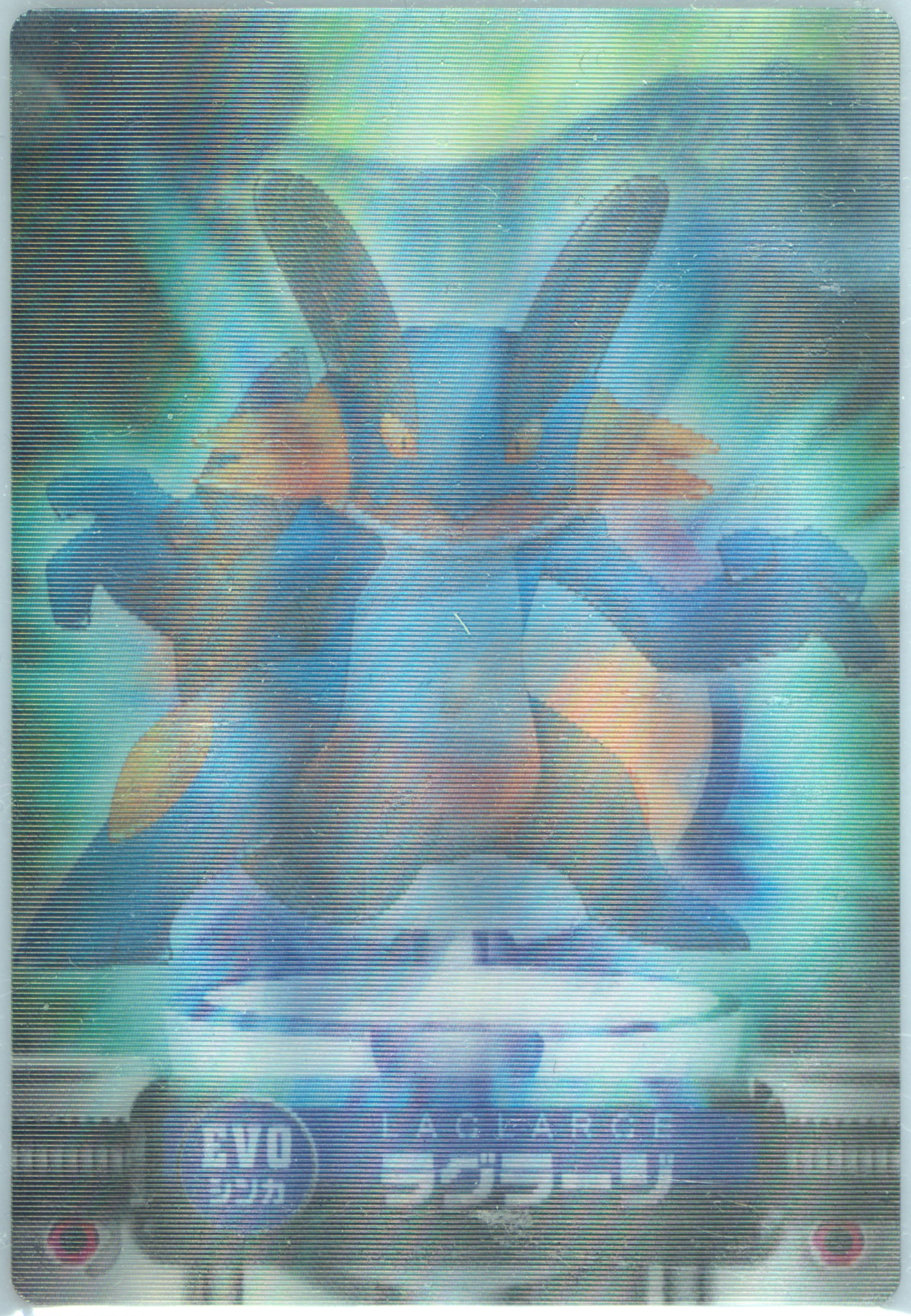 Marshtomp/Mudkip/Swampert