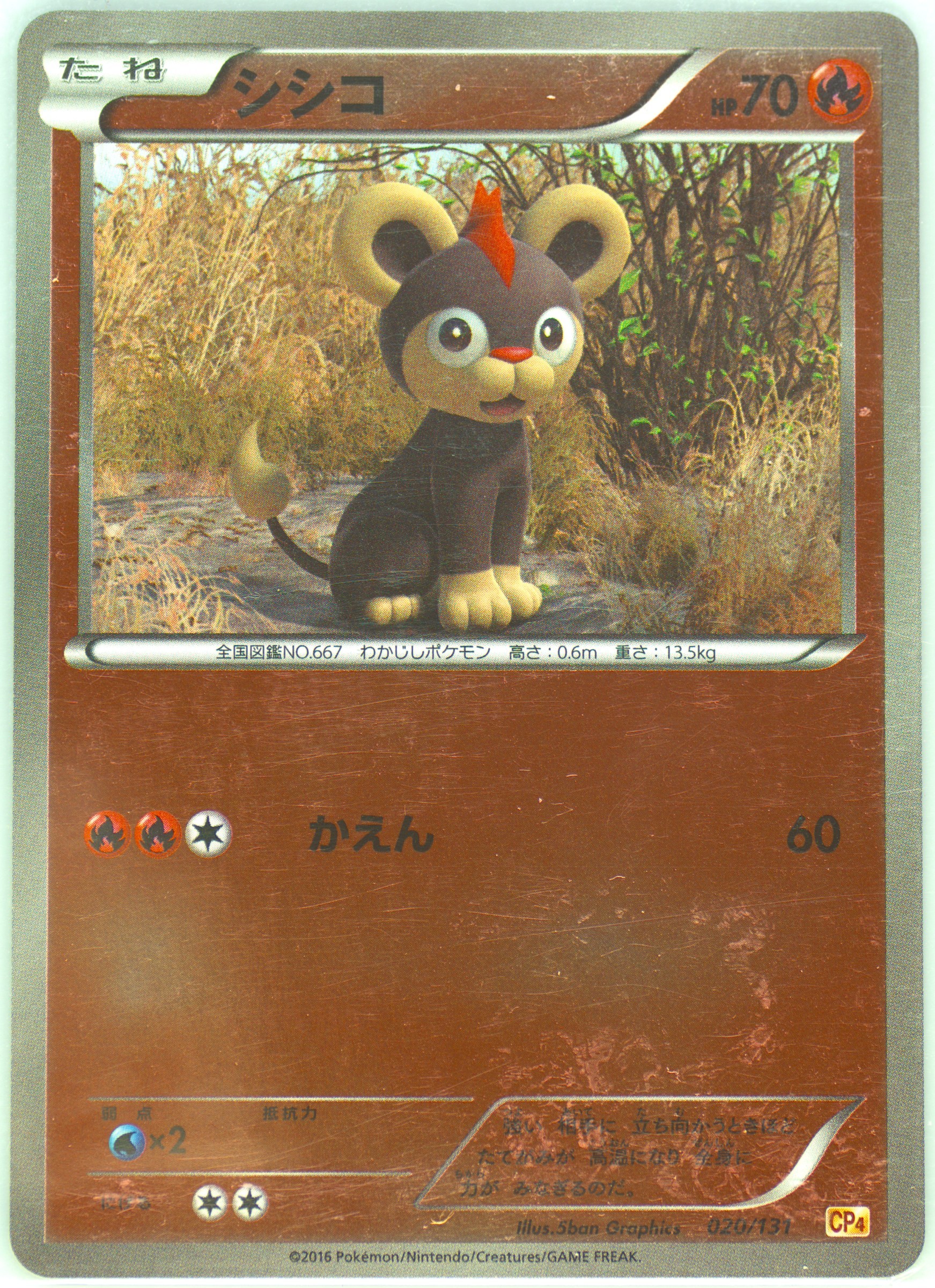 Litleo