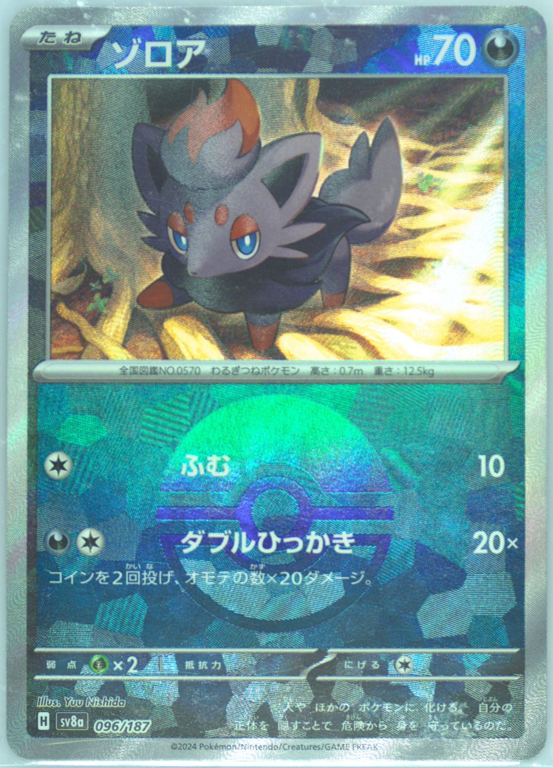 Zorua