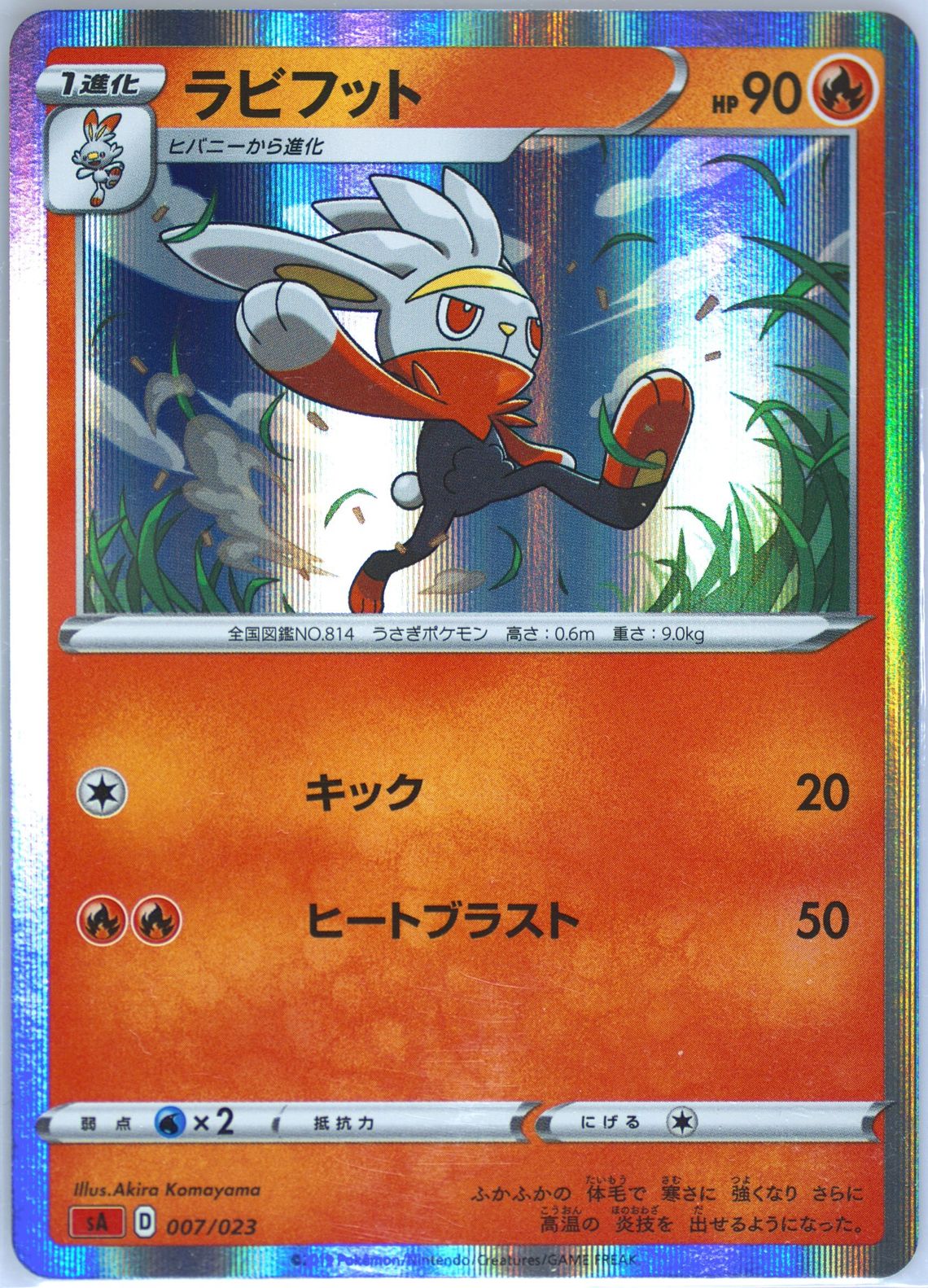 Raboot-Reverse Foil