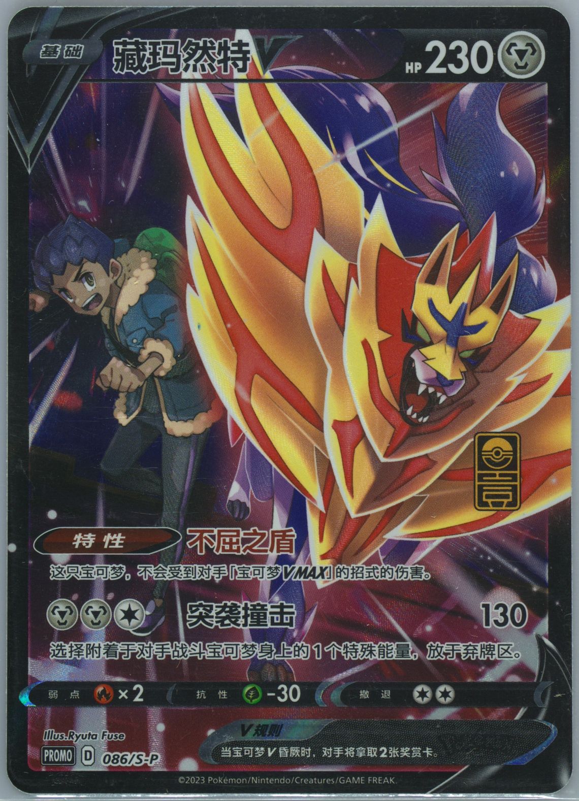 Zamazenta V