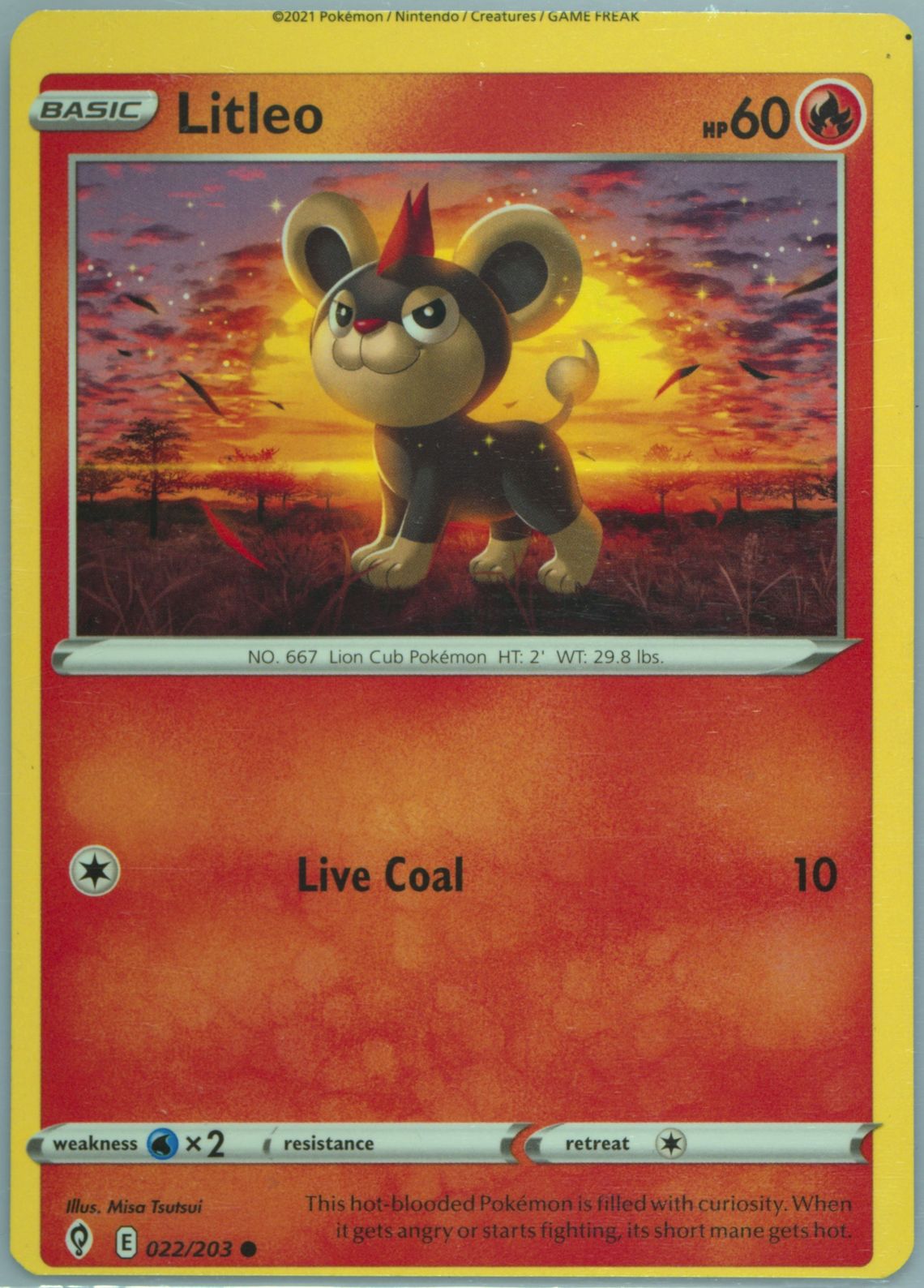 Litleo