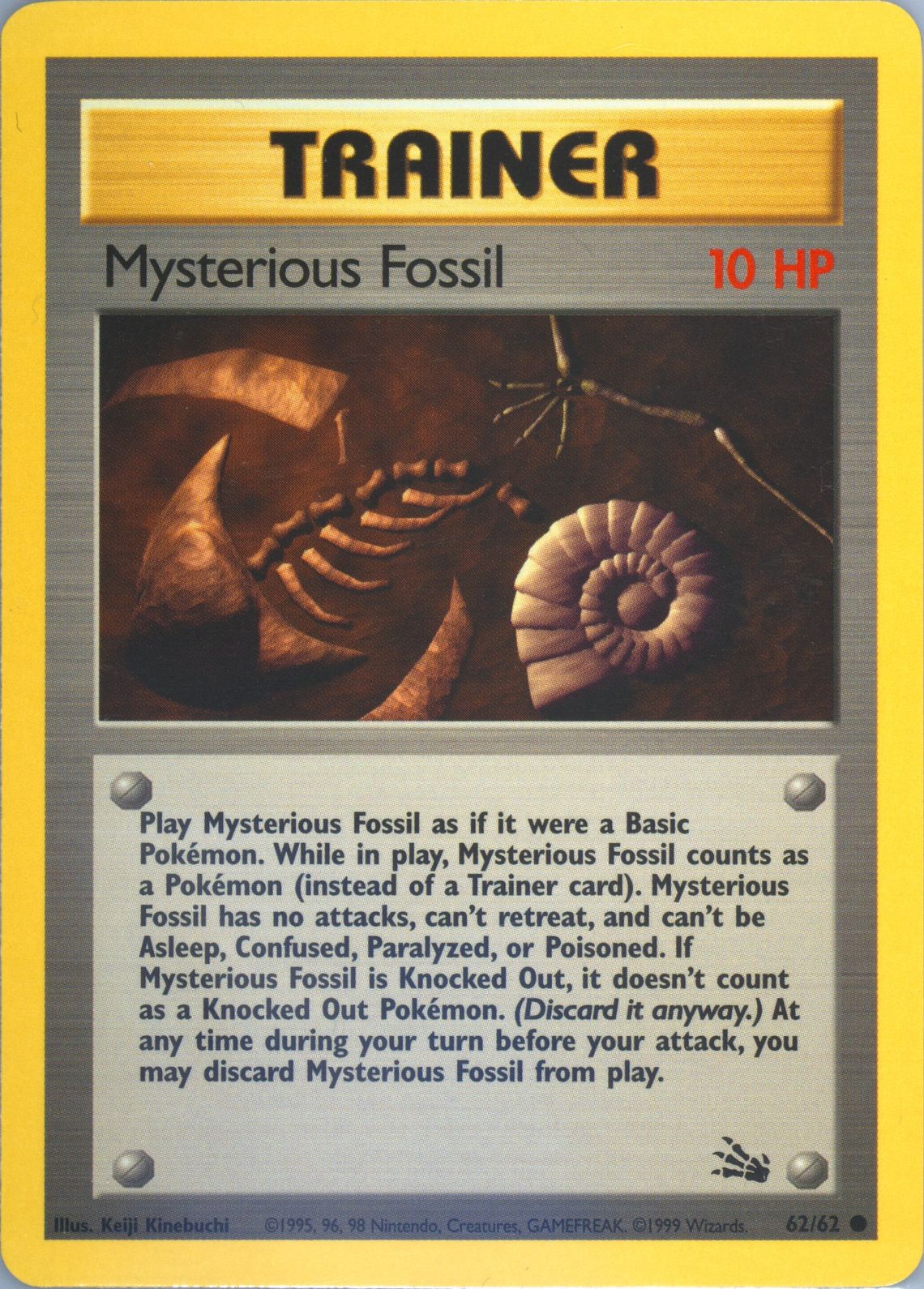 Mysterious Fossil