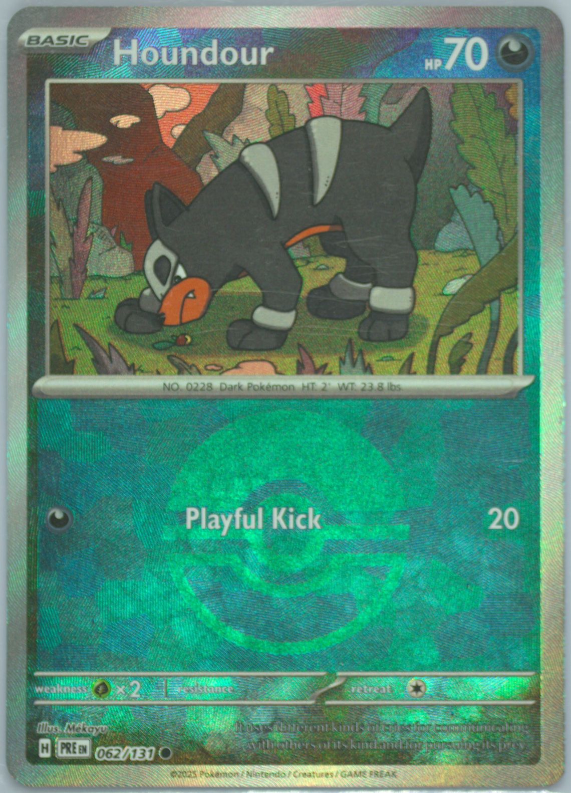 Houndour