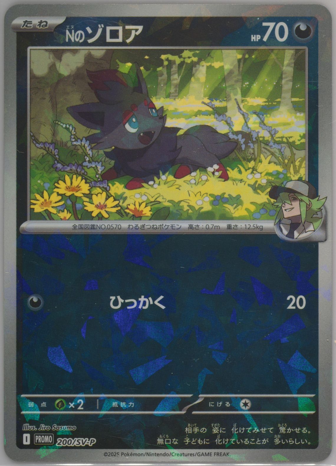 rare raichu pokemon card value Amazon.com: Wizards of the Coast Pokemon Fossil Rare Card #29 Raichu  Trading Card : Toys & Games