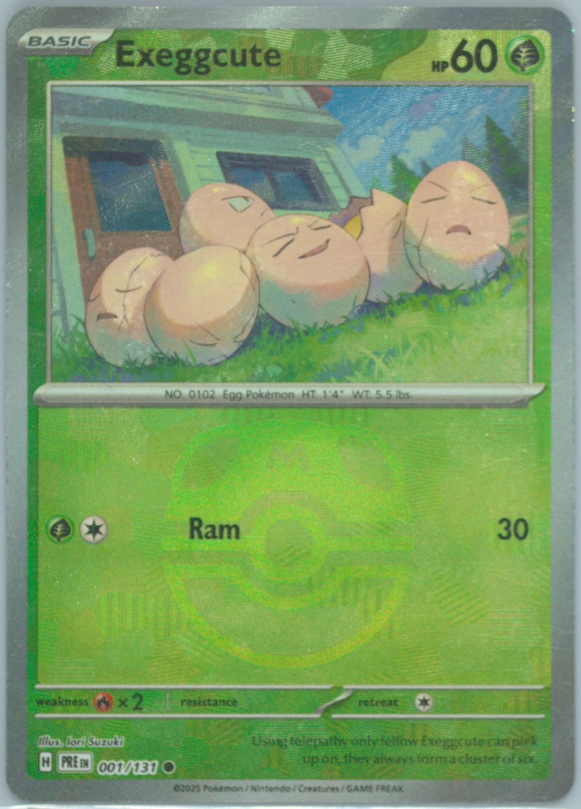 Exeggcute