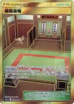 Full Art/Fighting Dojo