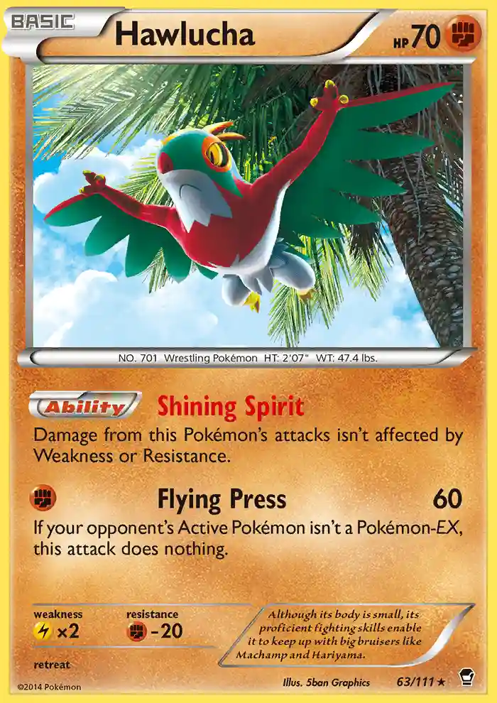 Hawlucha-Holo