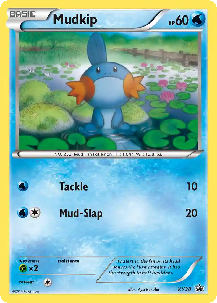 Mudkip-Holo