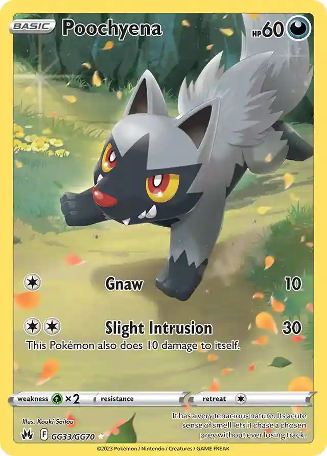 Full Art/Poochyena
