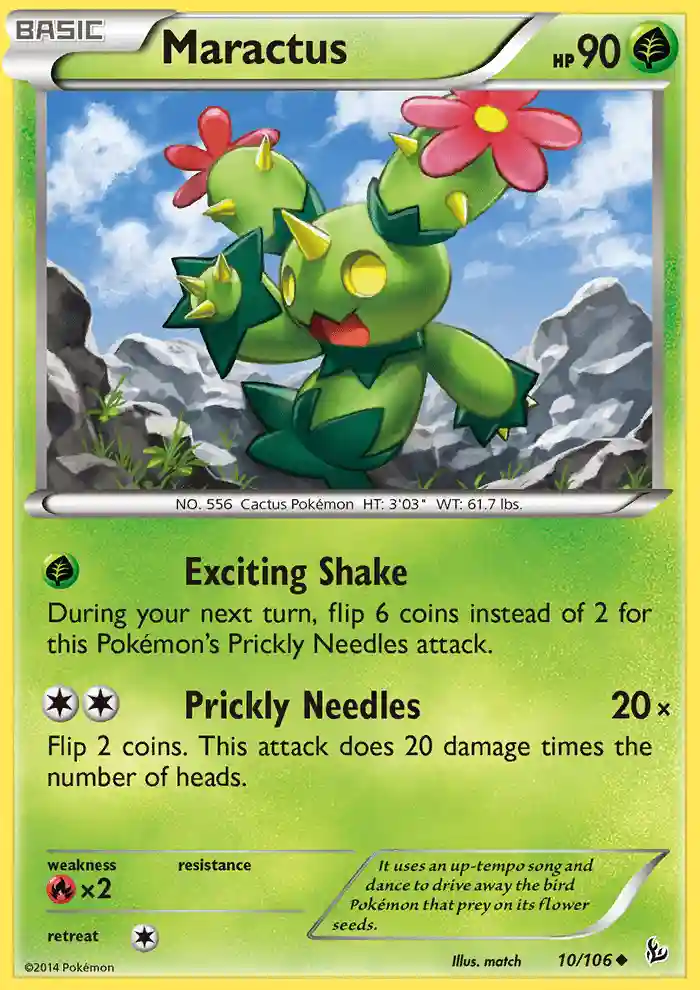 Maractus