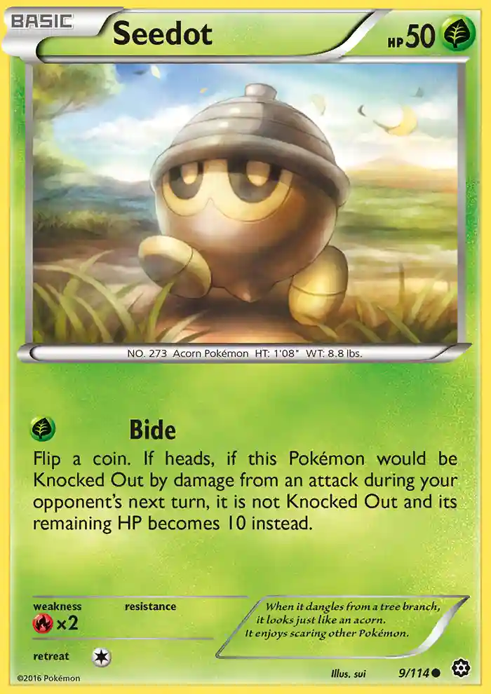Seedot-Reverse Foil