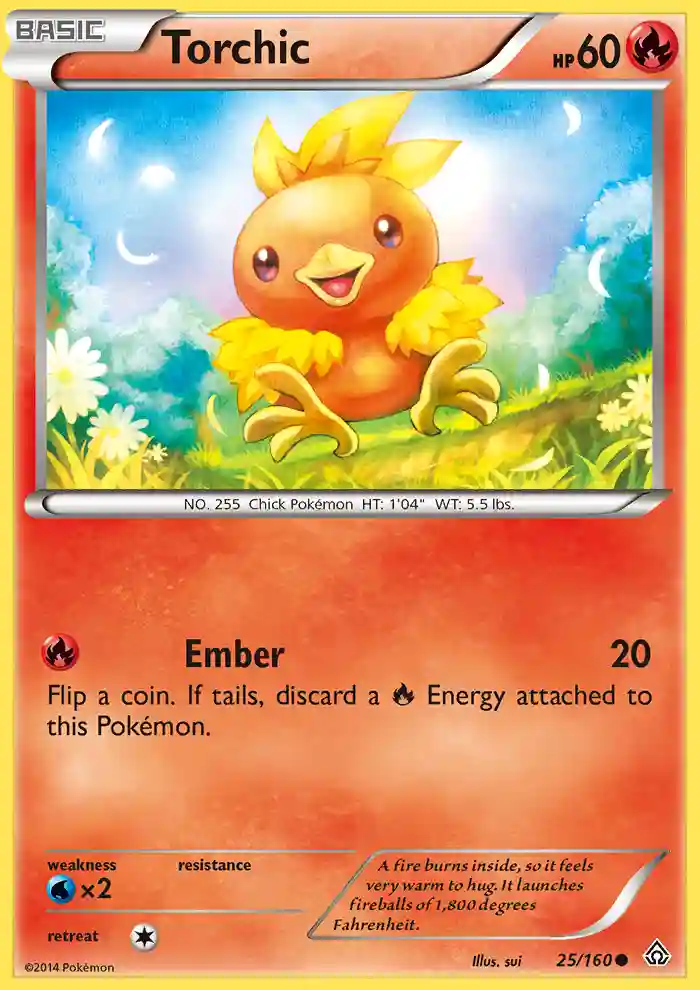 Torchic