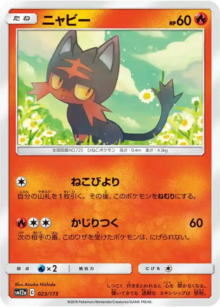 Litten-Holo