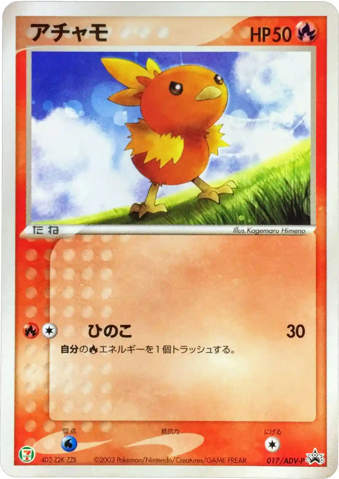 Torchic
