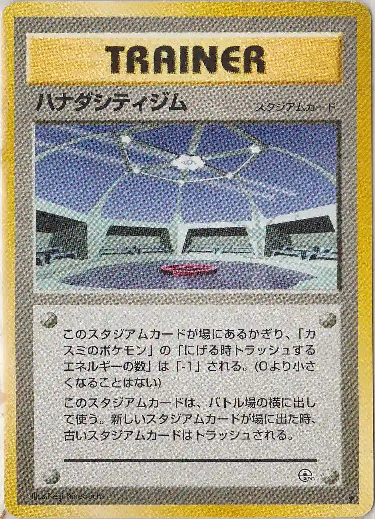 Cerulean City Gym