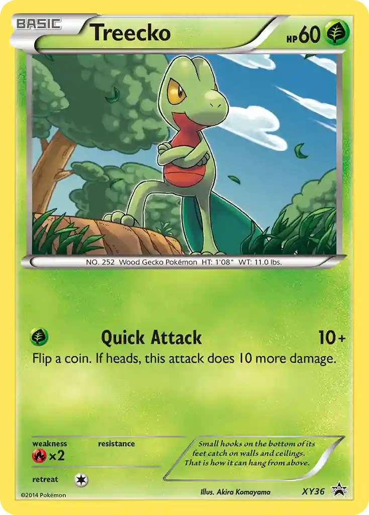 Treecko-Holo