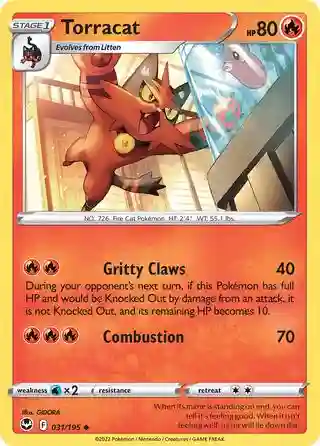 Torracat-Reverse Foil