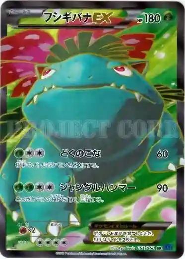 Full Art/Venusaur EX