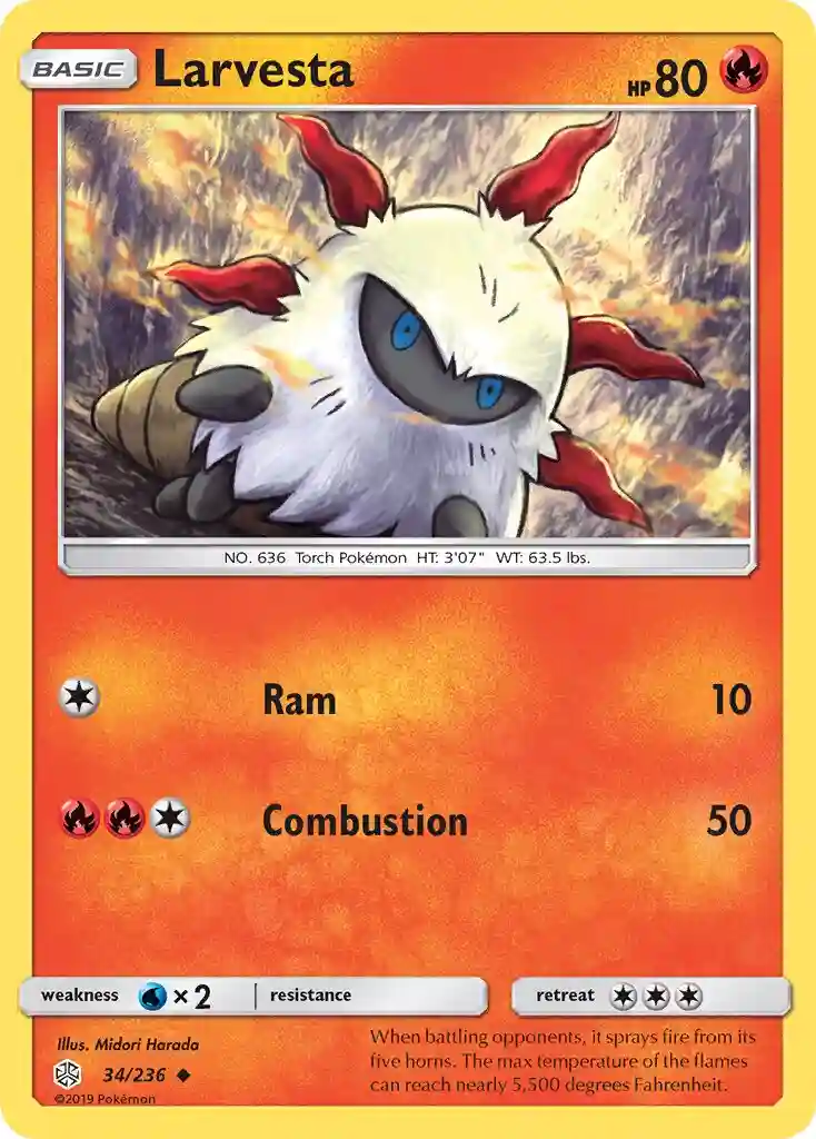 Larvesta-Reverse Foil