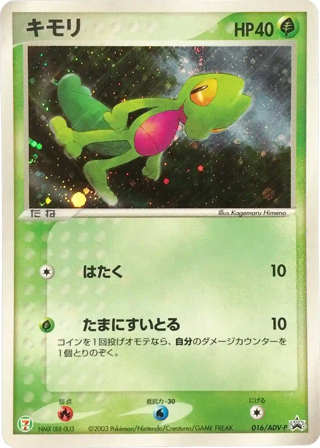 Treecko-Holo
