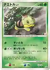 Turtwig