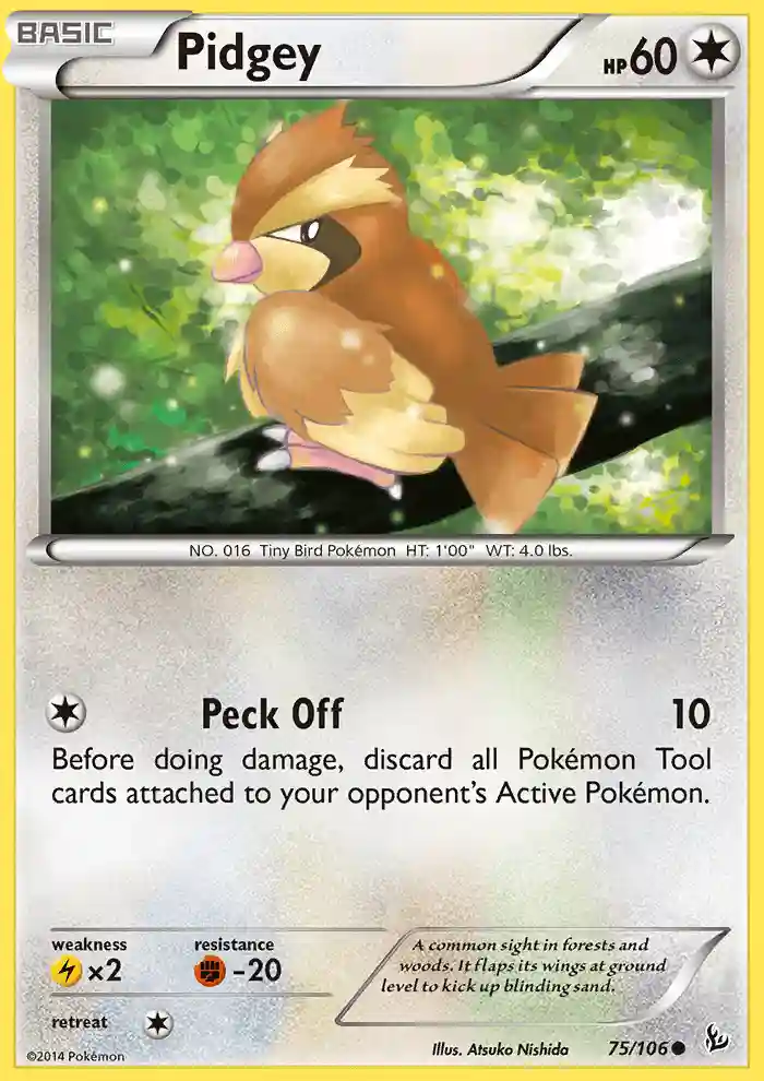 Pidgey