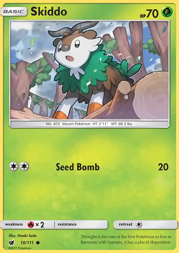 Skiddo-Reverse Foil