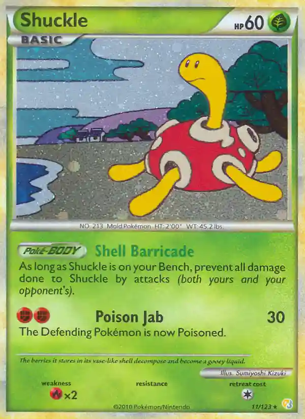 Shuckle-Holo