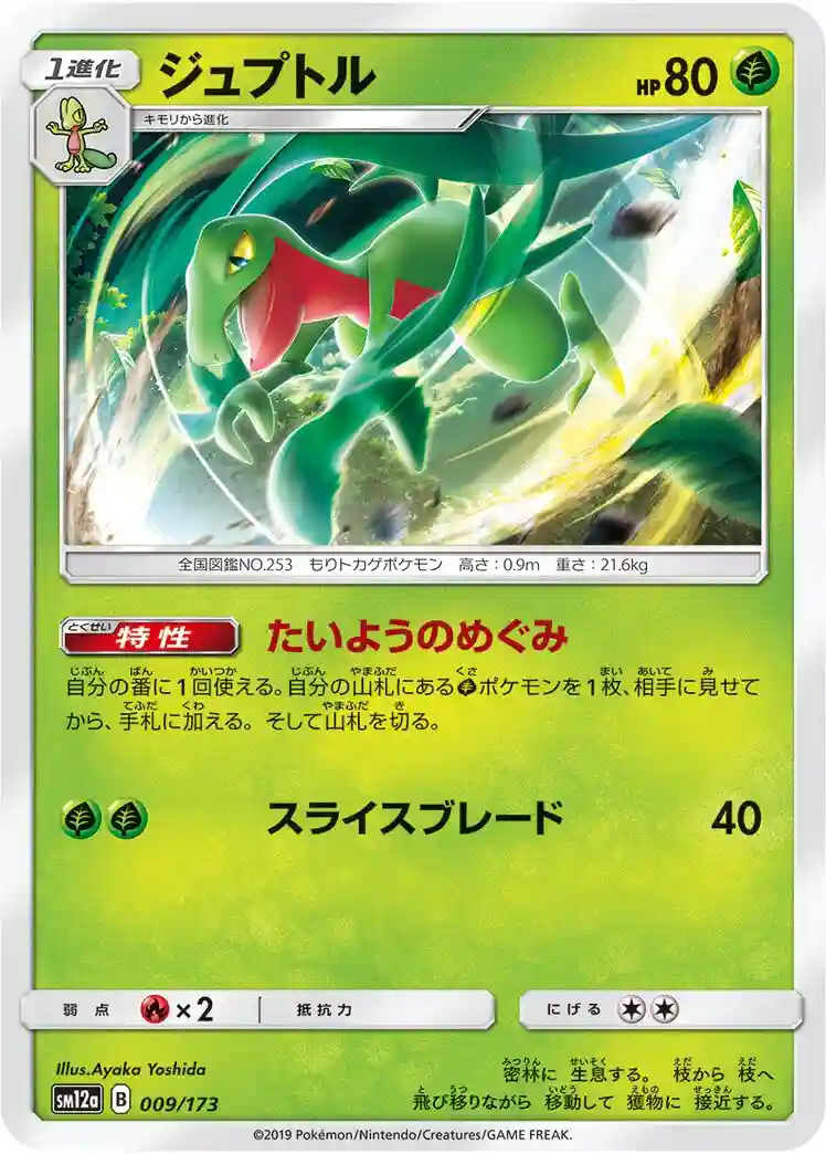 Grovyle-Holo