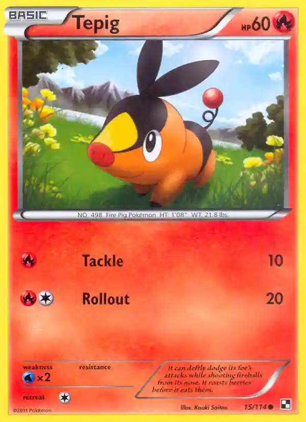 Tepig-Holo