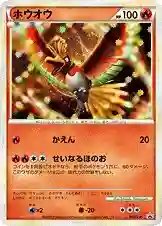 HO-Oh-Holo