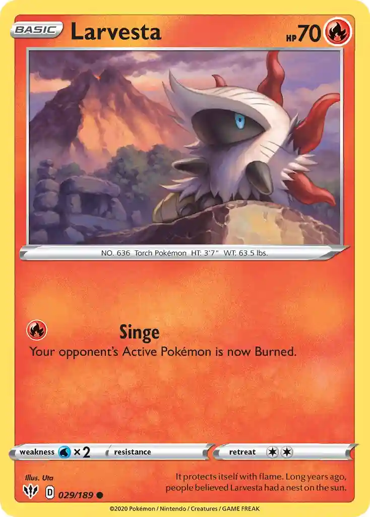 Larvesta-Reverse Foil