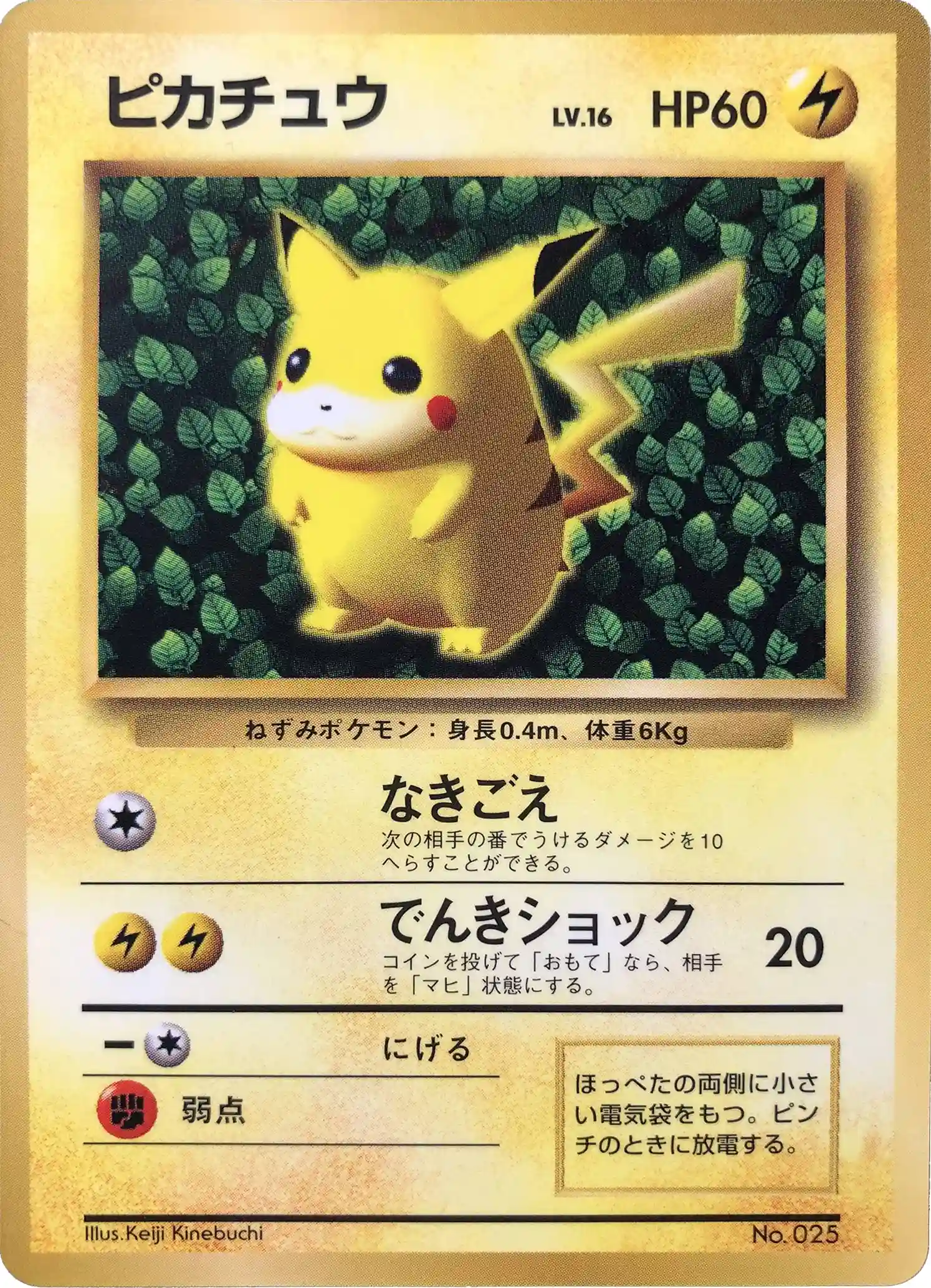 Ivy Pikachu-Glossy