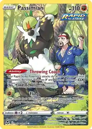 Full Art/Passimian