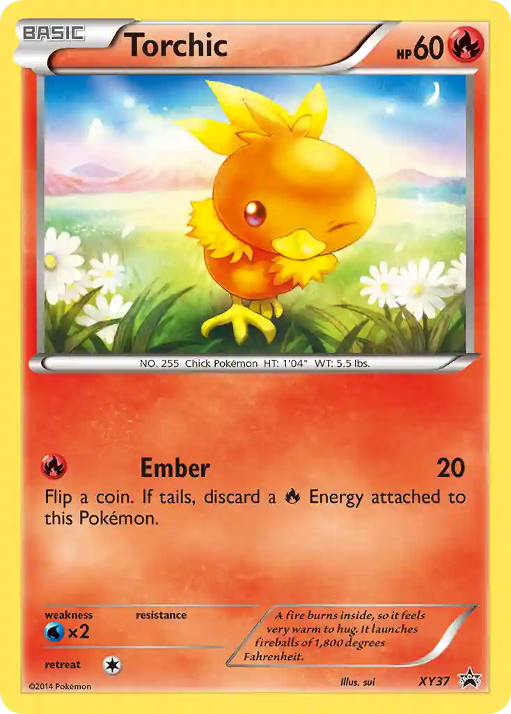 Torchic-Holo
