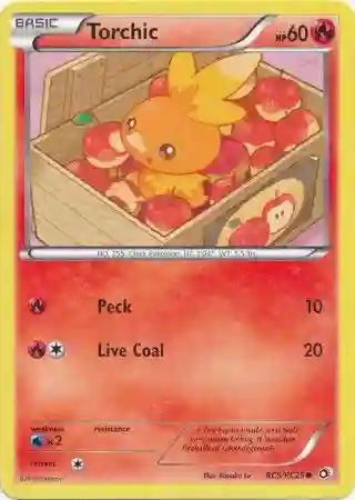 Torchic