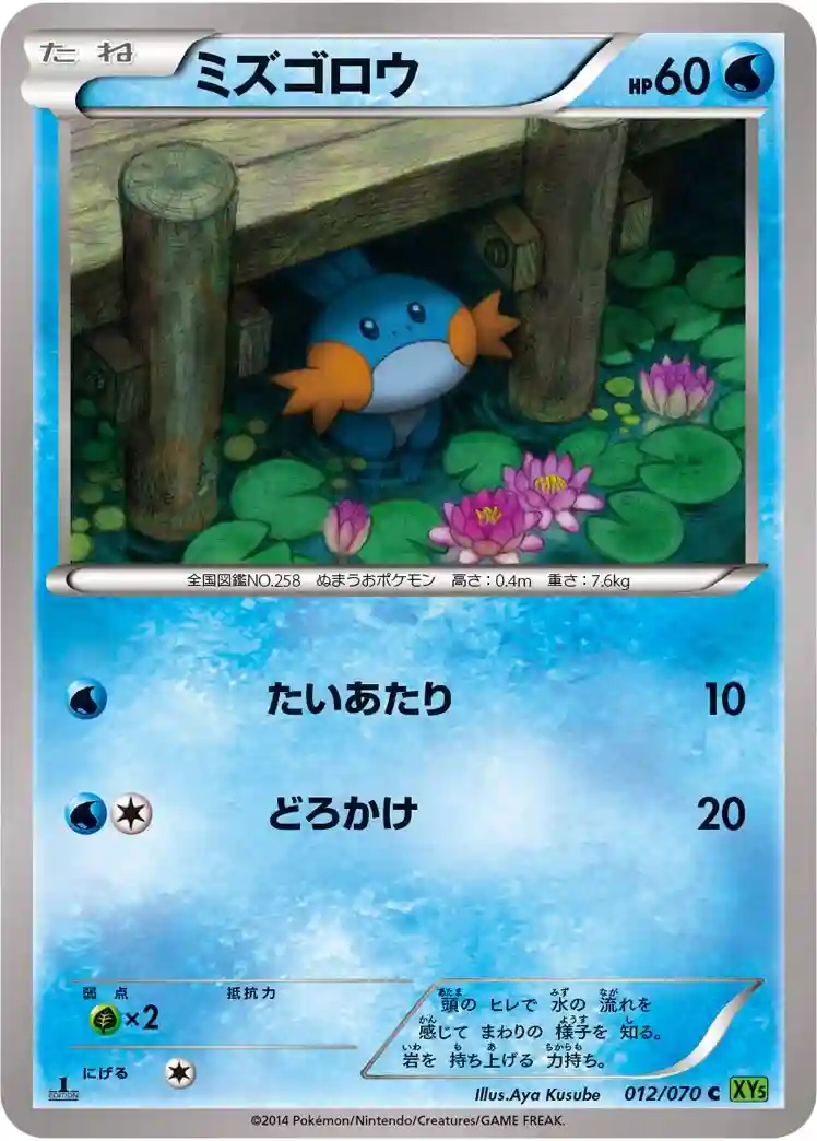 Mudkip 1st Edition (012) 2014 Pokemon Japanese XY Tidal Storm