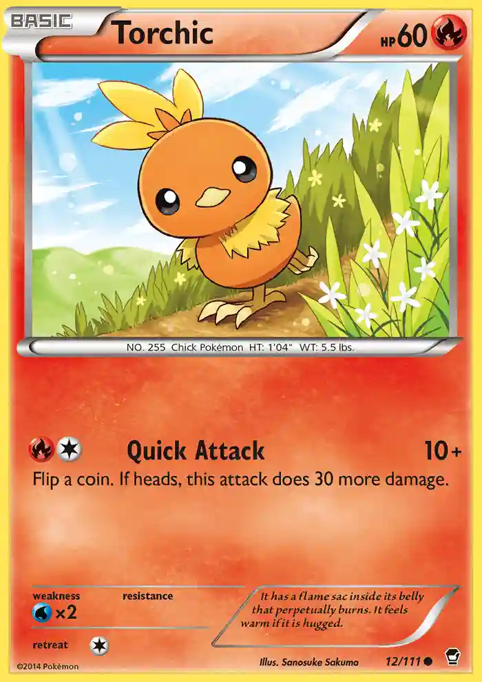 Torchic